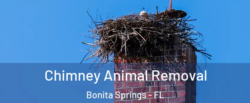 Chimney Animal Removal Bonita Springs - FL