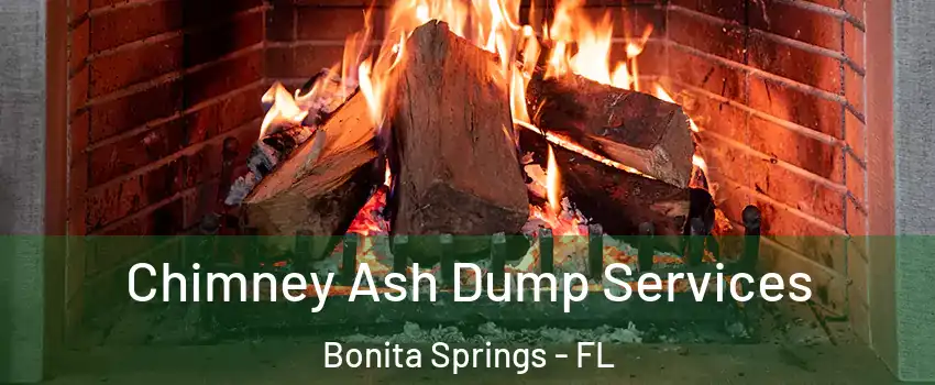  Chimney Ash Dump Services Bonita Springs - FL