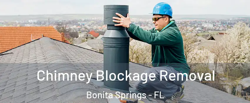  Chimney Blockage Removal Bonita Springs - FL