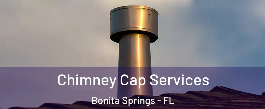  Chimney Cap Services Bonita Springs - FL