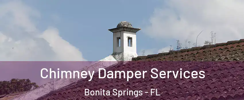  Chimney Damper Services Bonita Springs - FL