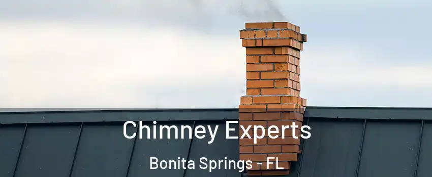  Chimney Experts Bonita Springs - FL