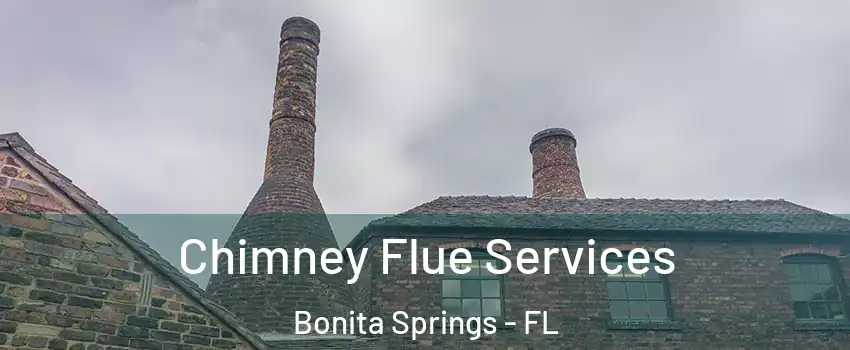  Chimney Flue Services Bonita Springs - FL