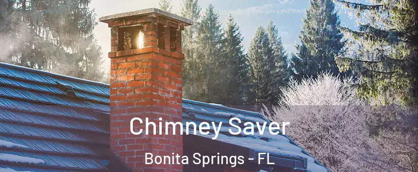  Chimney Saver Bonita Springs - FL