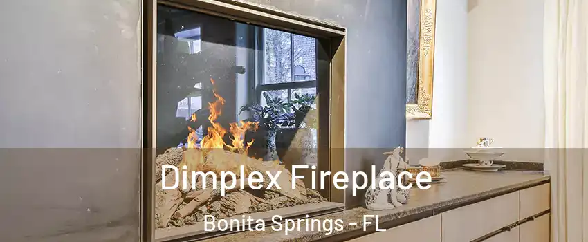  Dimplex Fireplace Bonita Springs - FL