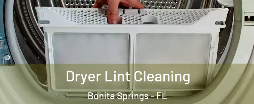  Dryer Lint Cleaning Bonita Springs - FL