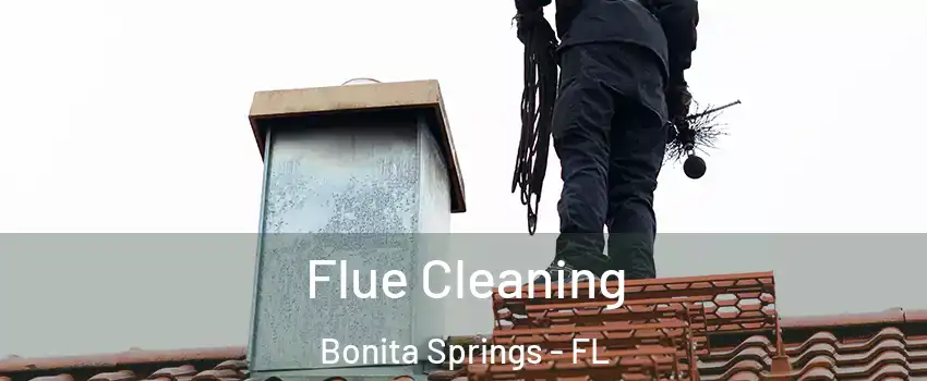  Flue Cleaning Bonita Springs - FL