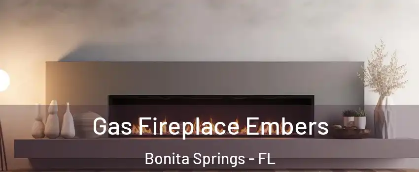  Gas Fireplace Embers Bonita Springs - FL