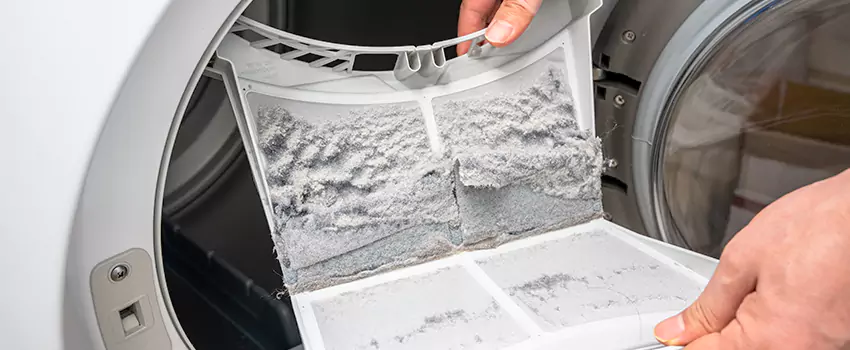 Best Dryer Lint Removal Company in Bonita Springs, Florida