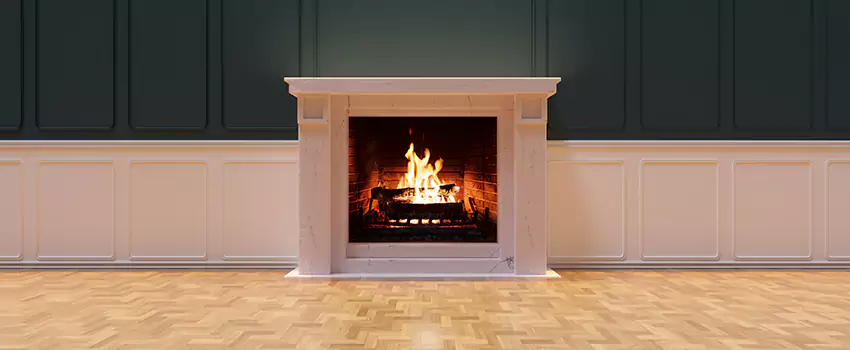 Napoleon Electric Fireplaces Inspection Service in Bonita Springs, Florida