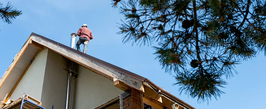 Birds Removal Contractors from Chimney in Bonita Springs, FL