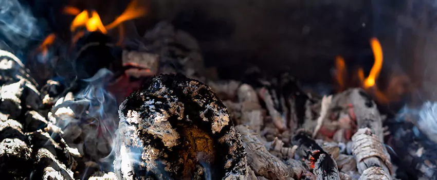 Creosote Removal Experts in Bonita Springs, FL