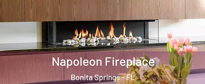  Napoleon Fireplace Bonita Springs - FL